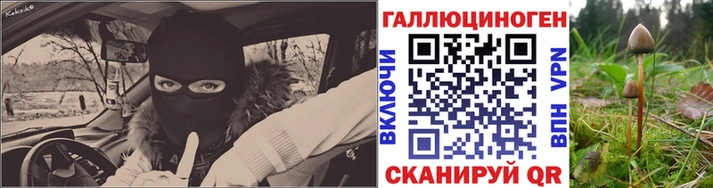 где найти   Полтавская  Псилоцибиновые грибы мицелий 
