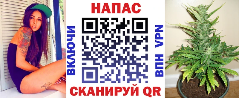 Бошки марихуана ГИДРОПОН Полтавская